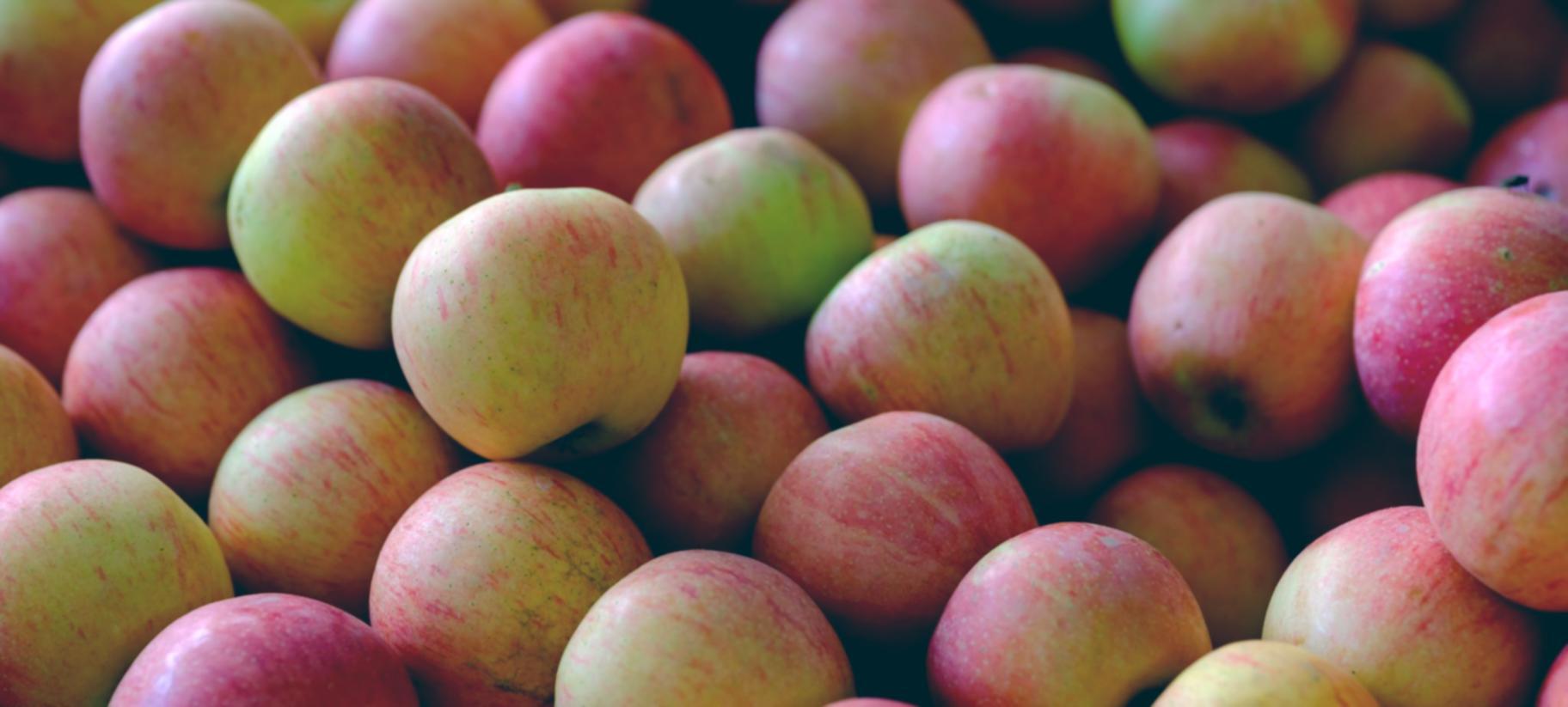 Persona consultando materiales educativos de nutrición cultural mexicana con ingredientes tradicionales y notas personalizadas